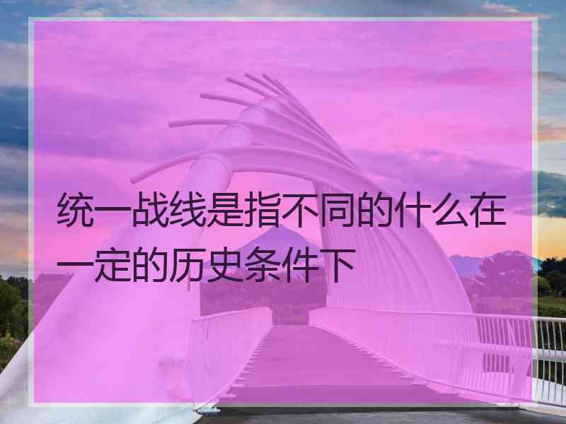 统一战线是指不同的什么在一定的历史条件下