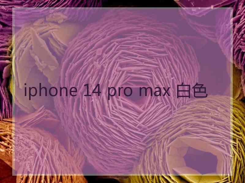 iphone 14 pro max 白色