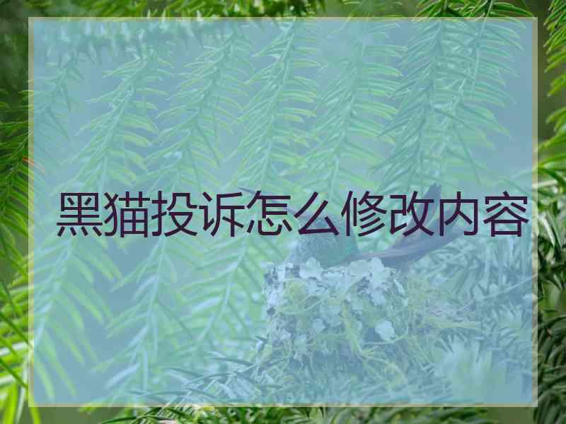 黑猫投诉怎么修改内容