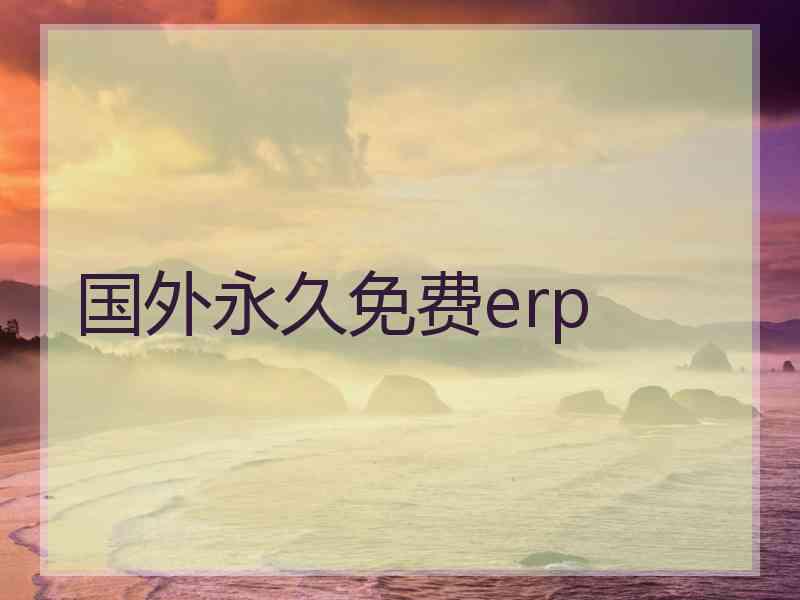 国外永久免费erp