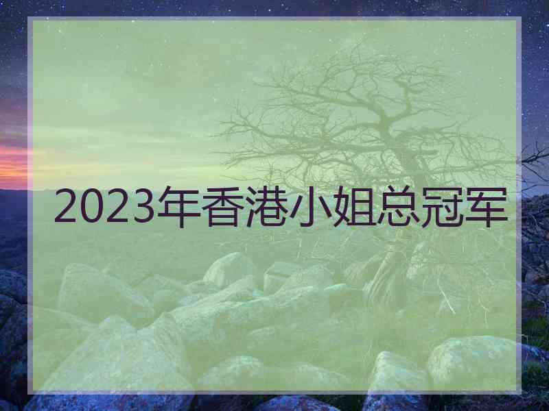 2023年香港小姐总冠军