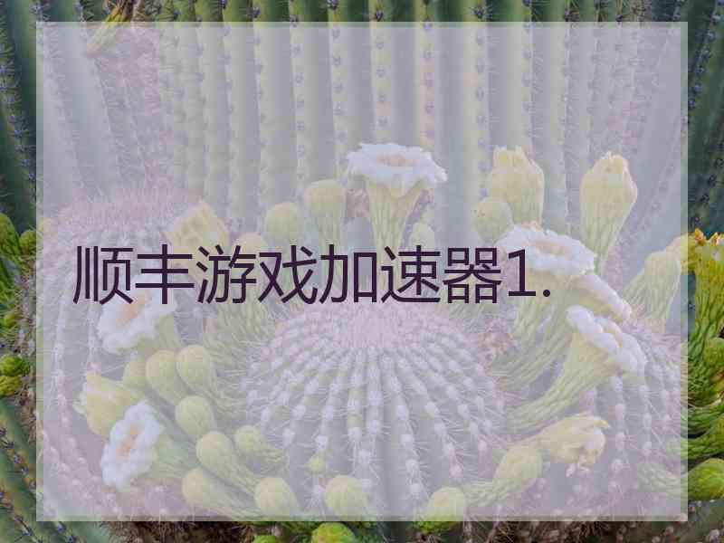 顺丰游戏加速器1.