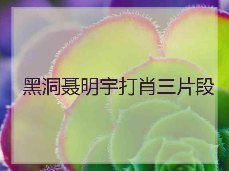 黑洞聂明宇打肖三片段