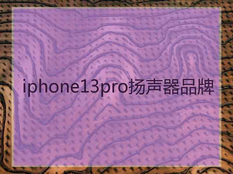 iphone13pro扬声器品牌