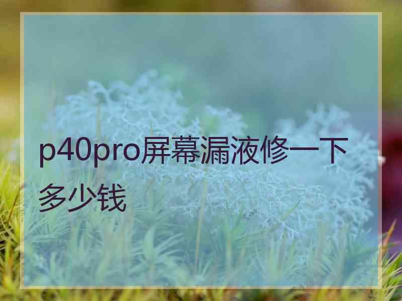 p40pro屏幕漏液修一下多少钱