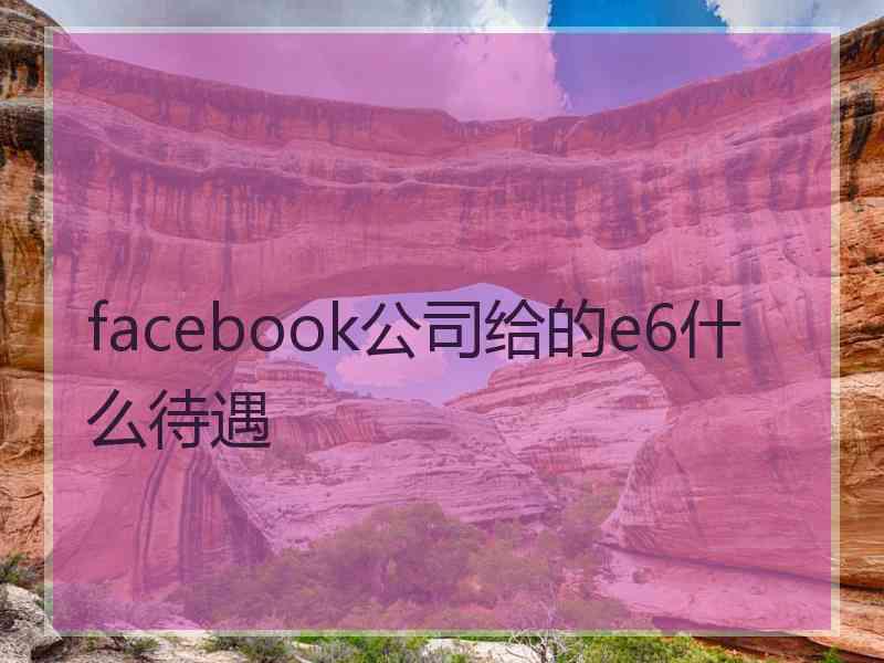 facebook公司给的e6什么待遇