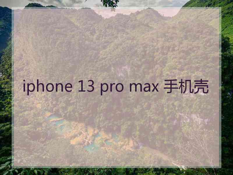 iphone 13 pro max 手机壳