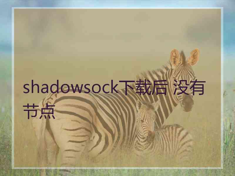 shadowsock下载后 没有节点