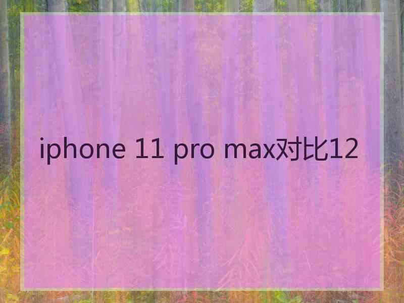 iphone 11 pro max对比12