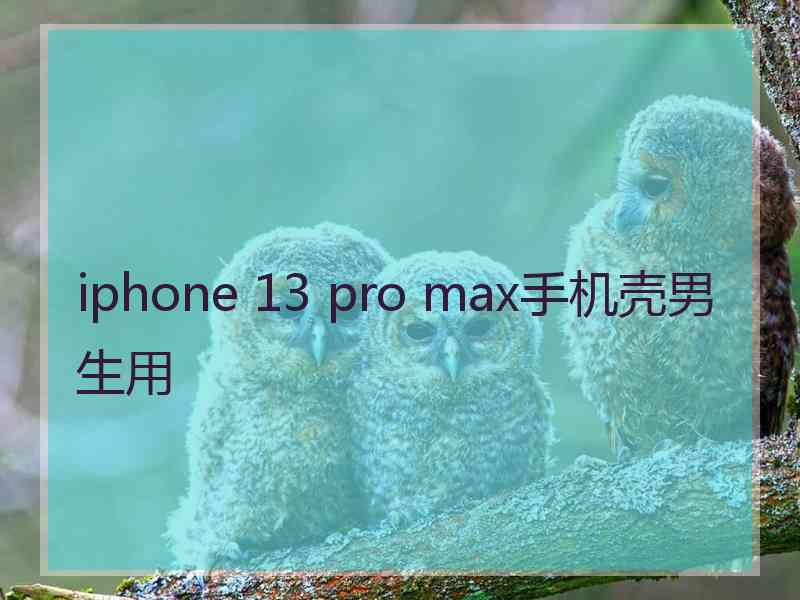 iphone 13 pro max手机壳男生用