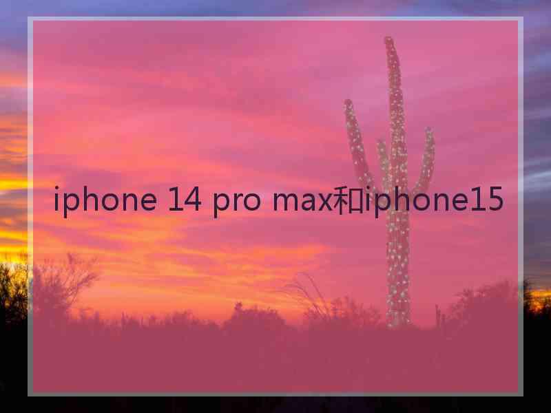 iphone 14 pro max和iphone15