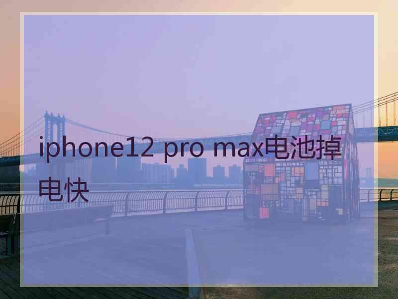 iphone12 pro max电池掉电快