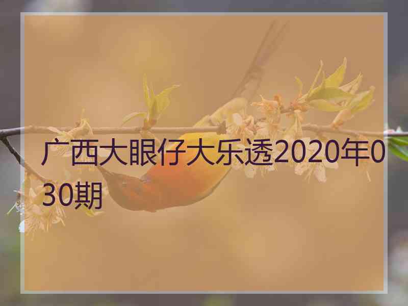 广西大眼仔大乐透2020年030期