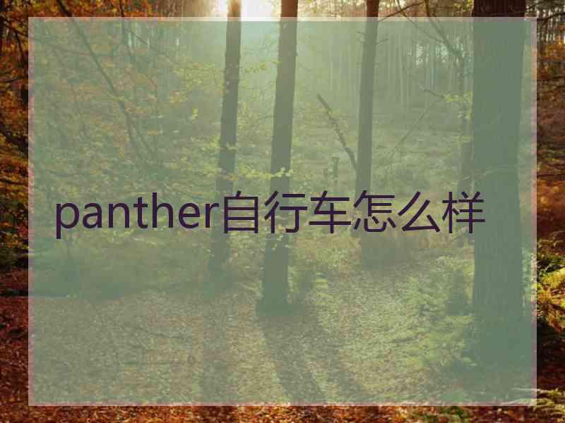 panther自行车怎么样