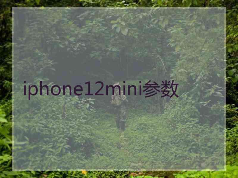 iphone12mini参数