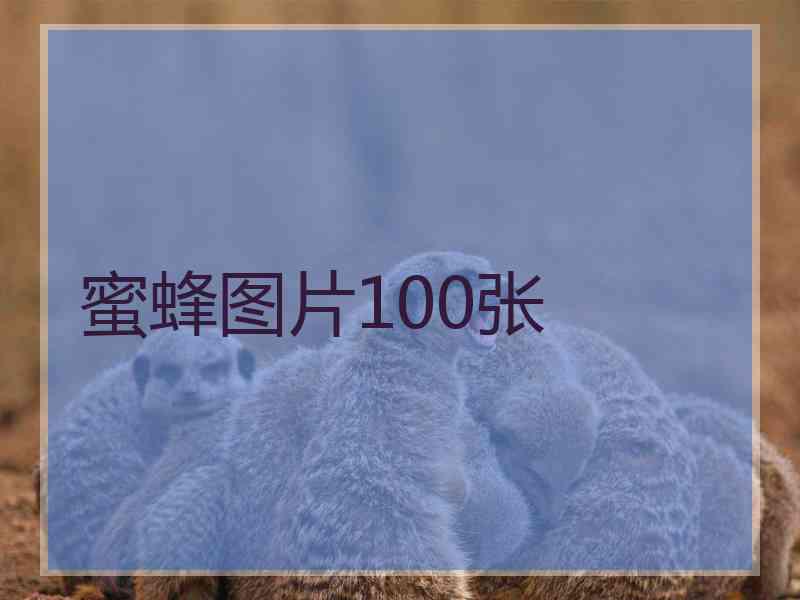 蜜蜂图片100张