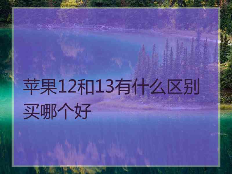 苹果12和13有什么区别买哪个好