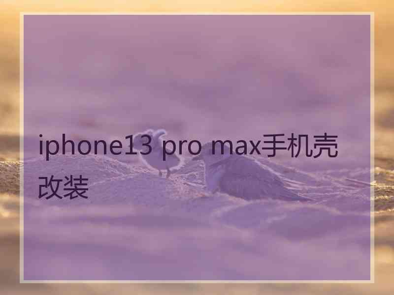 iphone13 pro max手机壳改装