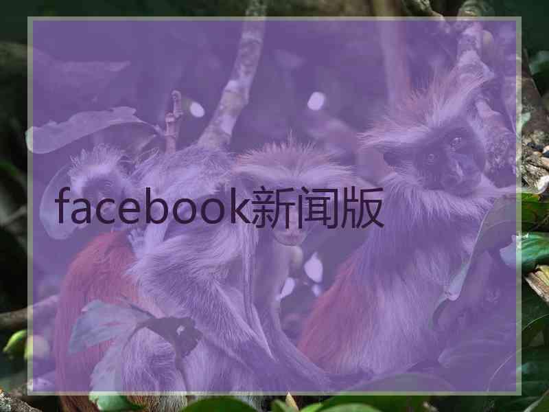 facebook新闻版