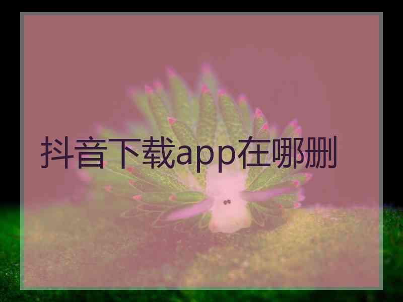 抖音下载app在哪删