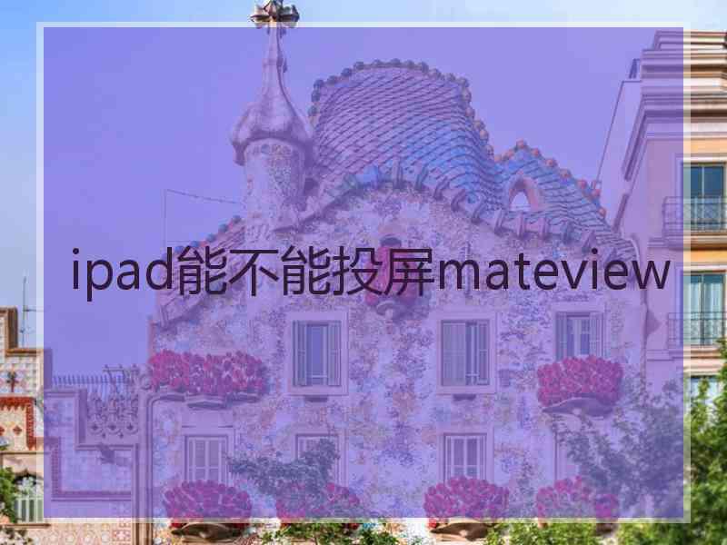 ipad能不能投屏mateview