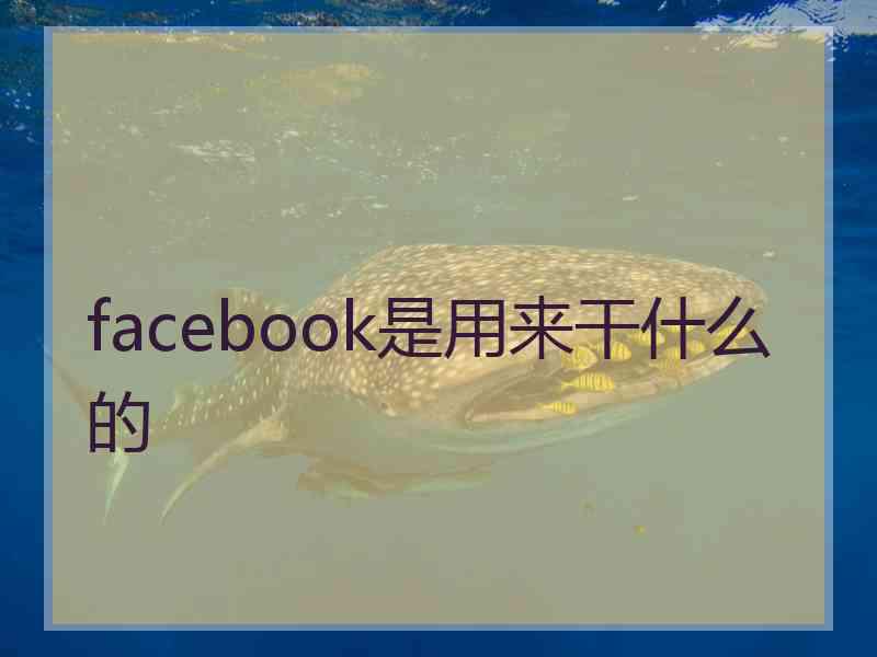 facebook是用来干什么的