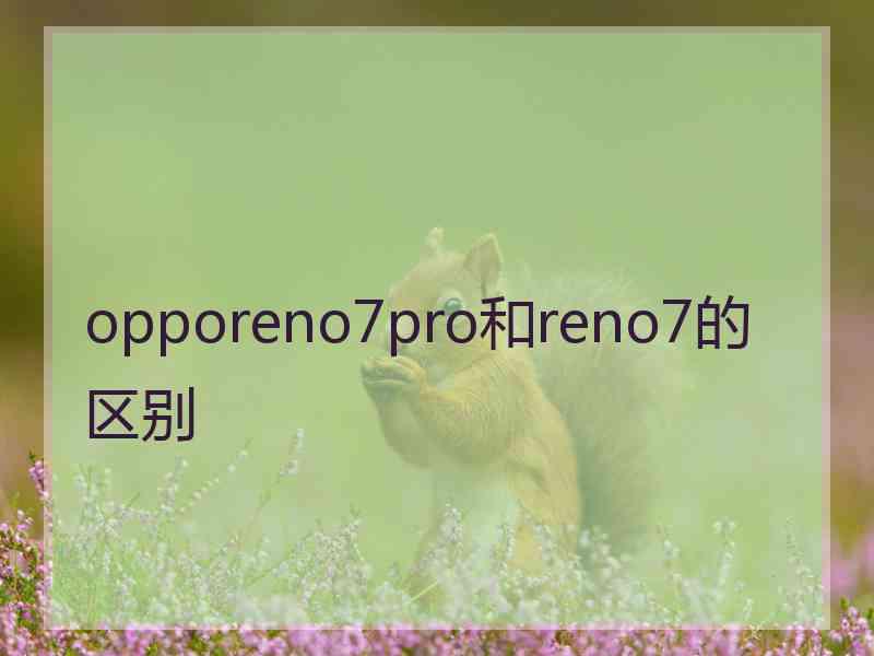 opporeno7pro和reno7的区别