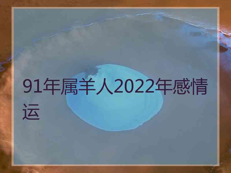 91年属羊人2022年感情运