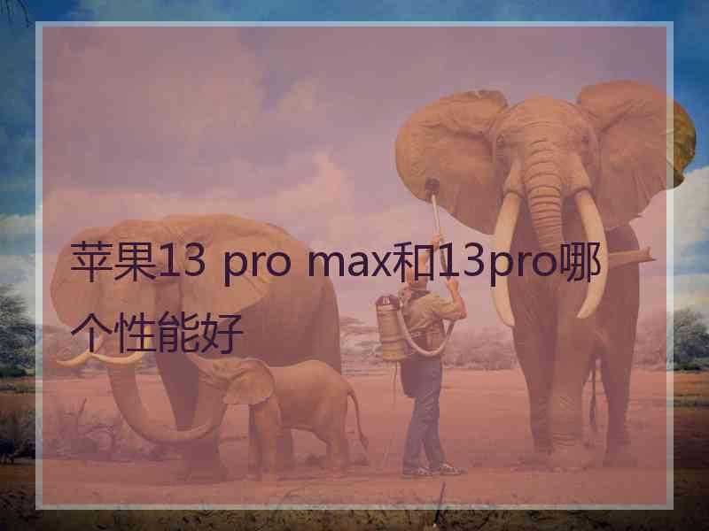 苹果13 pro max和13pro哪个性能好