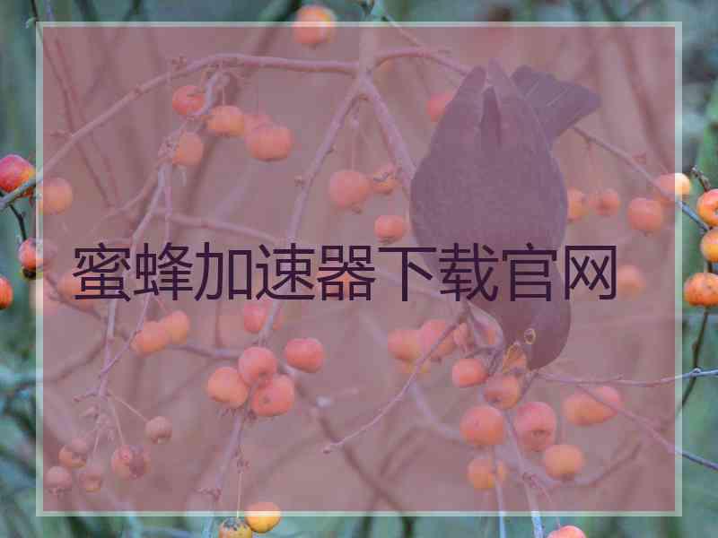 蜜蜂加速器下载官网