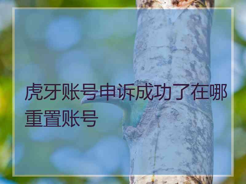 虎牙账号申诉成功了在哪重置账号