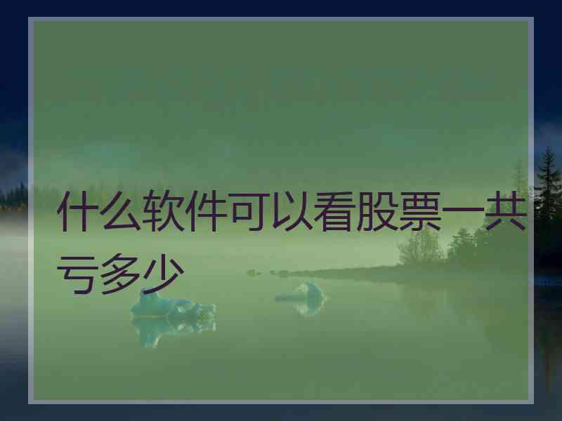 什么软件可以看股票一共亏多少