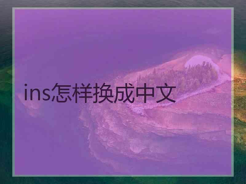 ins怎样换成中文