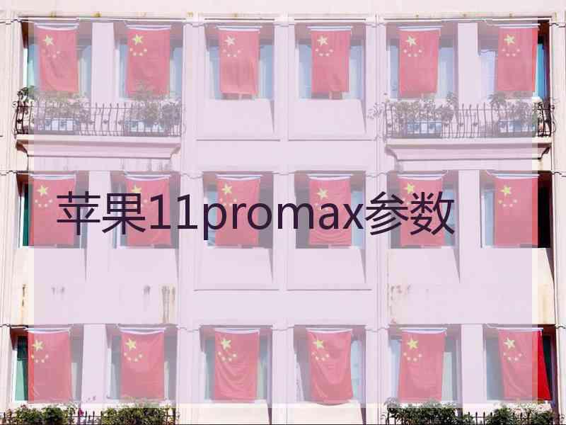 苹果11promax参数