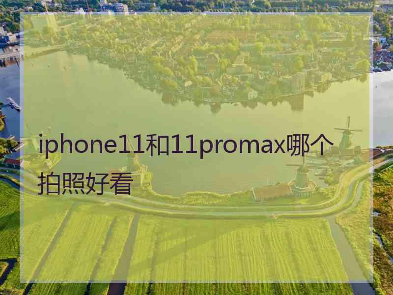 iphone11和11promax哪个拍照好看