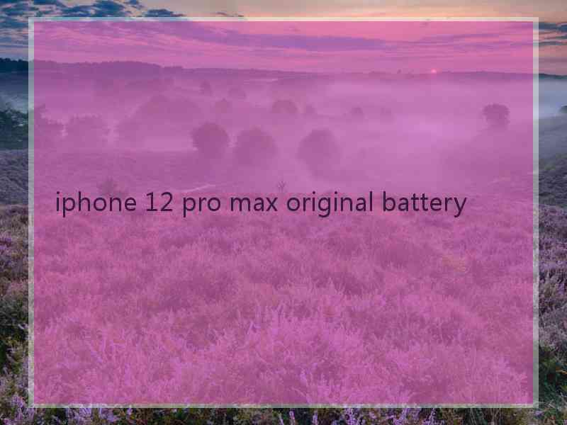 iphone 12 pro max original battery