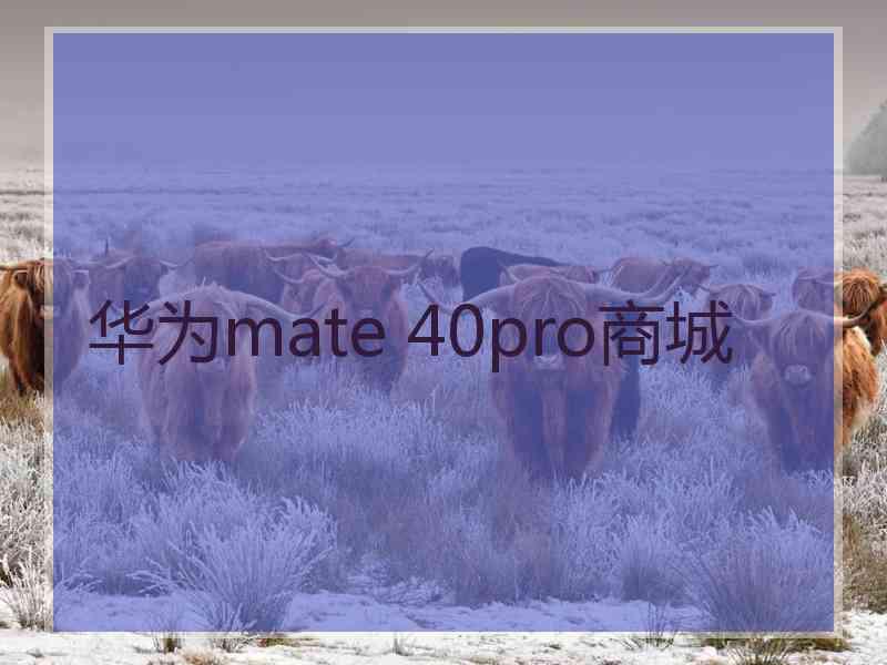 华为mate 40pro商城