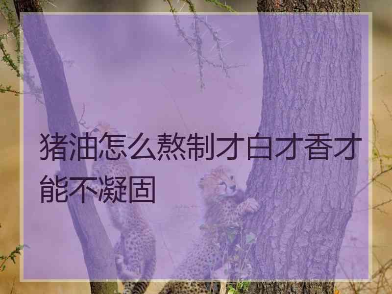 猪油怎么熬制才白才香才能不凝固