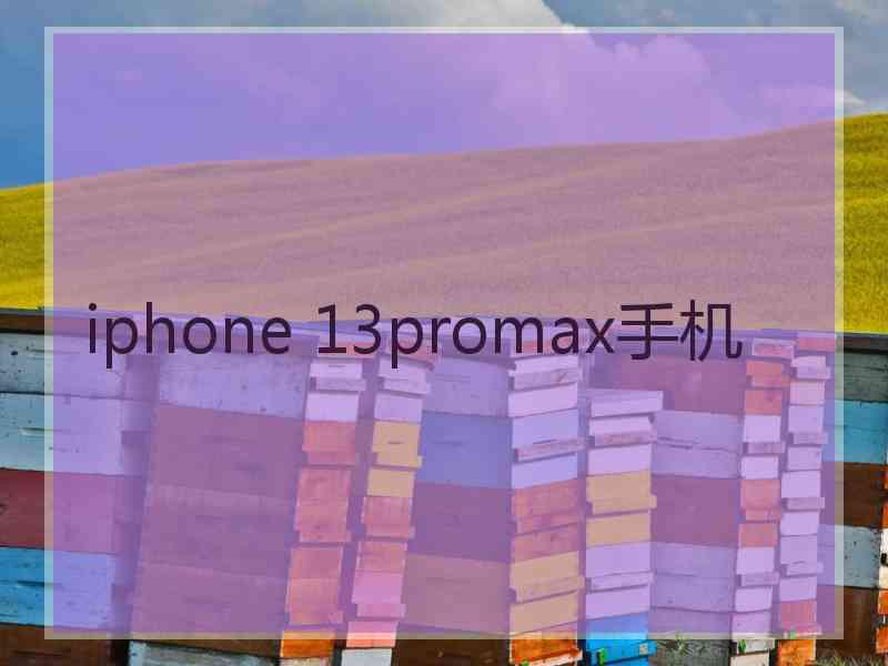 iphone 13promax手机