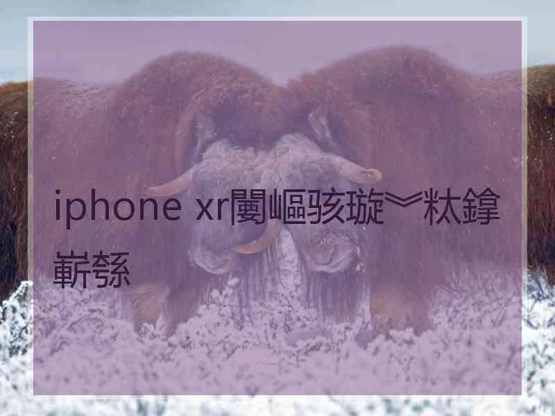 iphone xr闄嶇骇璇︾粏鎿嶄綔