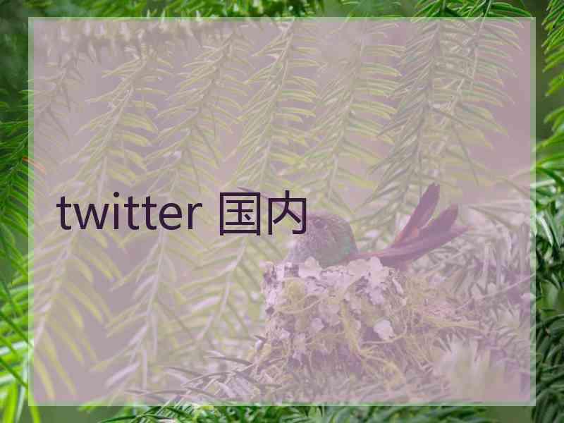 twitter 国内