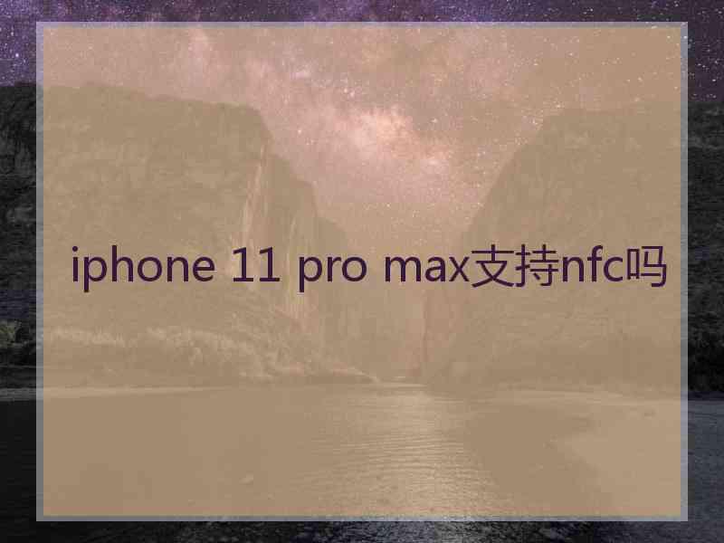 iphone 11 pro max支持nfc吗