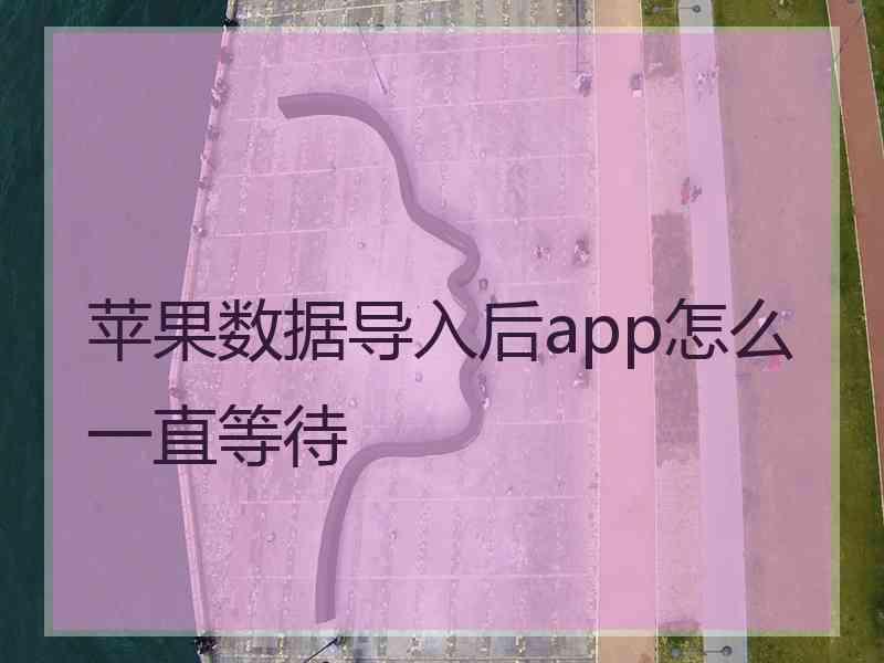 苹果数据导入后app怎么一直等待