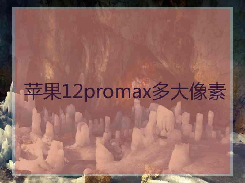 苹果12promax多大像素