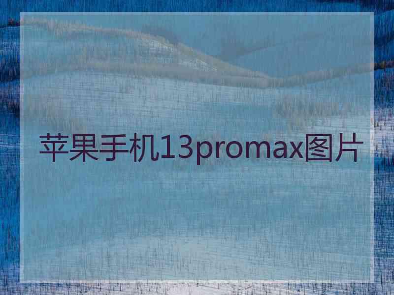 苹果手机13promax图片