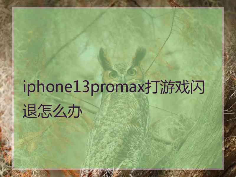 iphone13promax打游戏闪退怎么办