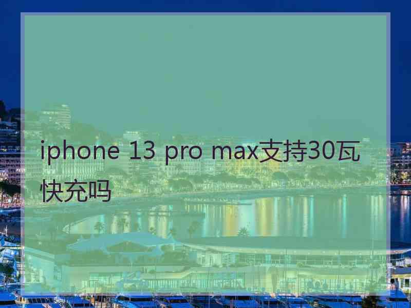 iphone 13 pro max支持30瓦快充吗