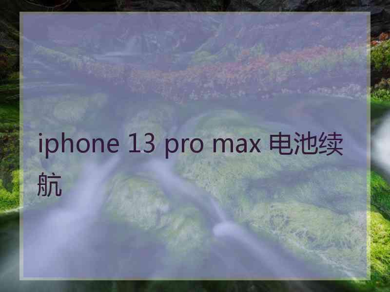 iphone 13 pro max 电池续航