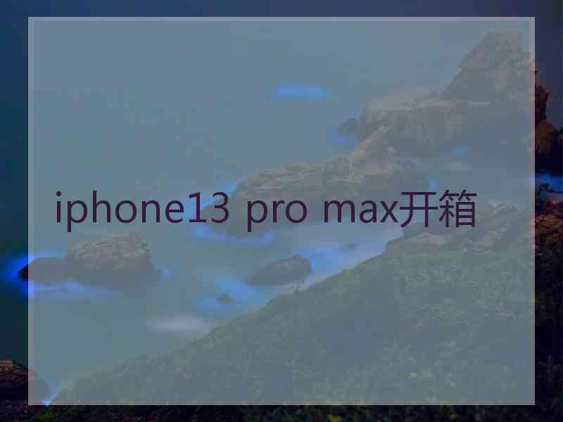 iphone13 pro max开箱