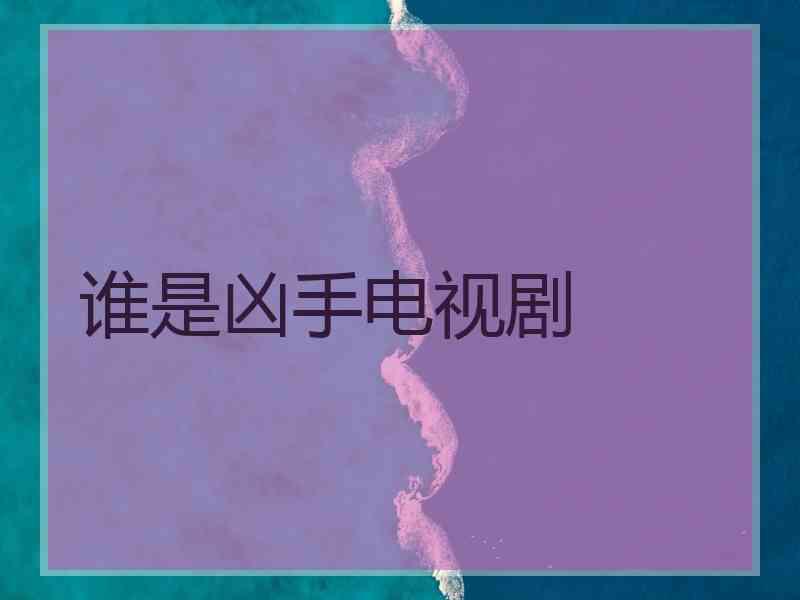 谁是凶手电视剧